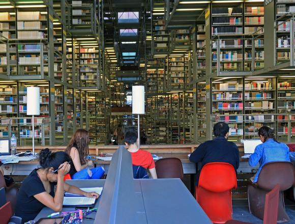 Students studying in university library